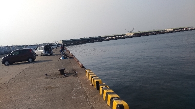 4/8釣果アジ釣れた！嬉しい！