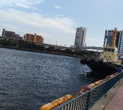 なぎさ公園アジ釣れてます！