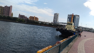 なぎさ公園アジ釣れてます！