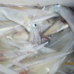 ヤリイカ73杯　好釣でした(^_-)-☆