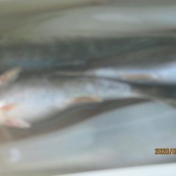 黒ムツ　ヤリイカ　釣れたよ(^^)/