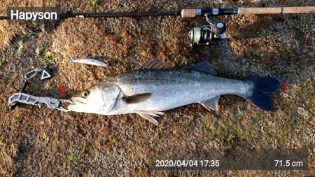 ストレス解消！