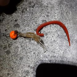 スーパームーンに釣行