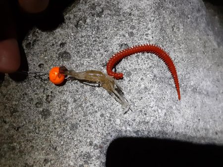 スーパームーンに釣行