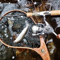 寒いなか頑張りました！