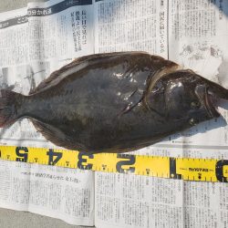 ライトショアジグで、ヒラメでも来ないかなと、、、