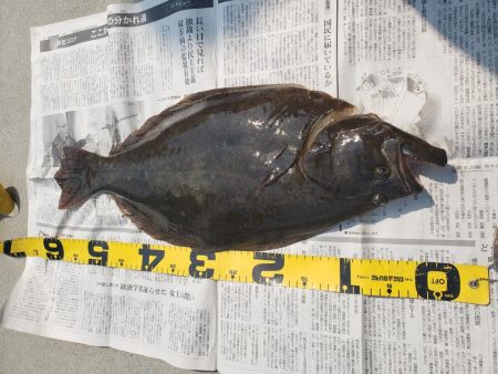 ライトショアジグで、ヒラメでも来ないかなと、、、