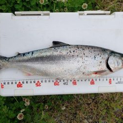 リベンジしました！！