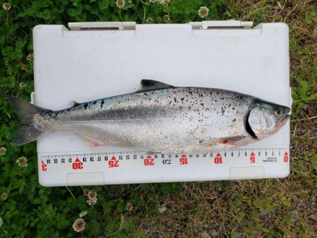 リベンジしました！！