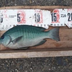 最高の釣り日和（＾＾）ｖ