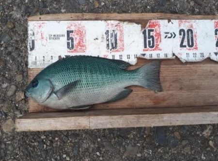 最高の釣り日和（＾＾）ｖ