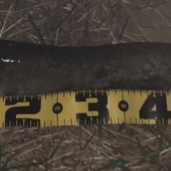 流れ込みが重要