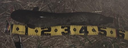 流れ込みが重要