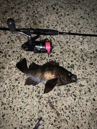 深夜のナイトメバリング