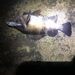 ルアーのみでメバリング