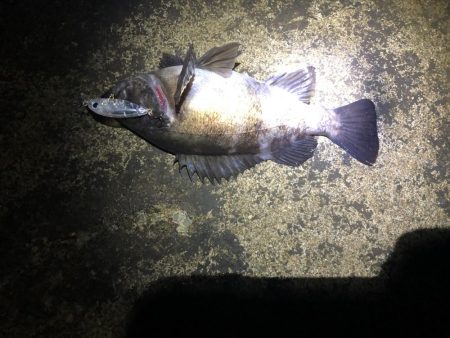 ルアーのみでメバリング