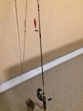 淀川のブラックバス