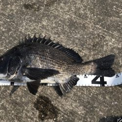 イチノ兄弟、釣果！