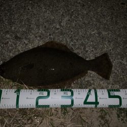 津居山港周辺へ