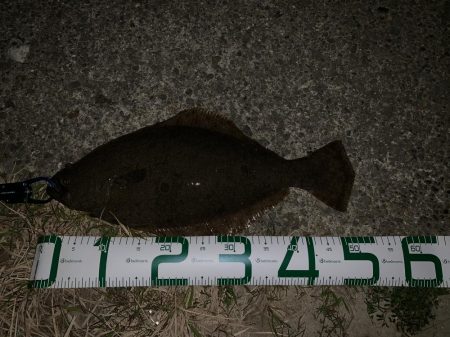 津居山港周辺へ