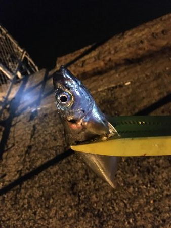 調子に乗って…