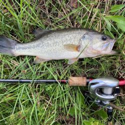 35センチ坊主逃れ