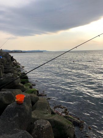 小アジ釣れ始め