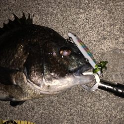 僕達は如意棒 バチシーズン編