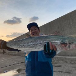 今年初青物❗️