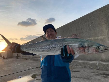 今年初青物❗️
