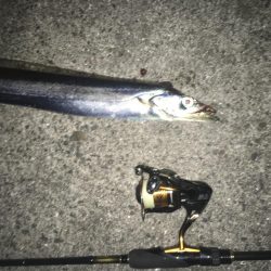 短時間の千田調査