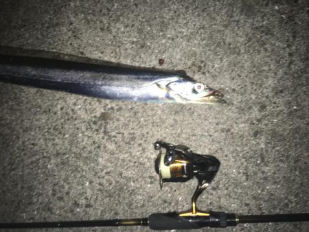 短時間の千田調査