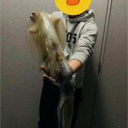 数少ない当たり