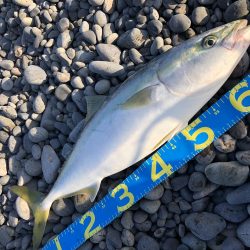 やっと釣れました