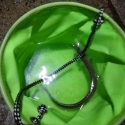 穴子狙いがカレイ！いや穴子も！