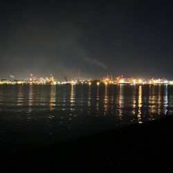 青物狙いからのタコ釣り