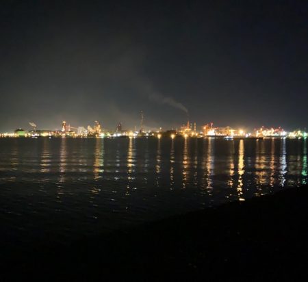 青物狙いからのタコ釣り