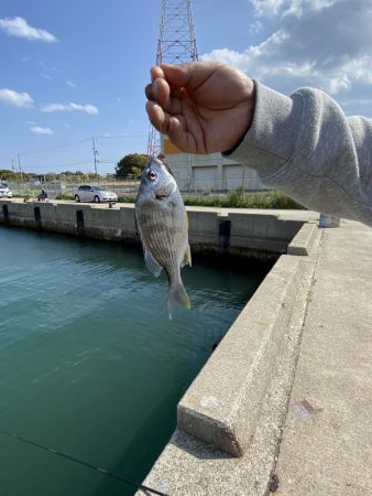 アジ　夕まずめ前