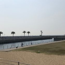 【温泉裏】アジ・イワシ釣れました‼︎