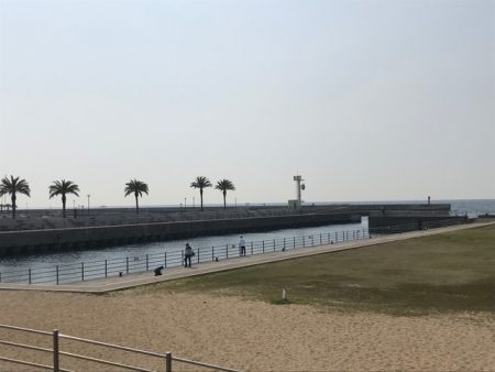 【温泉裏】アジ・イワシ釣れました‼︎