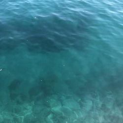 まさかの撃沈！