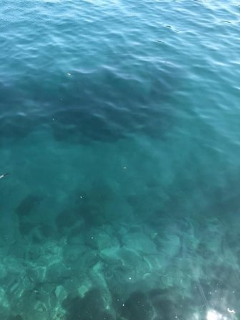 まさかの撃沈！