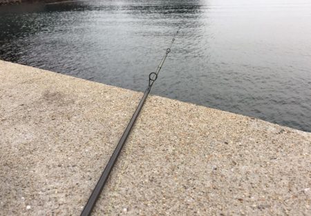 チビガシラいっぱい