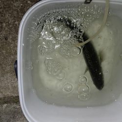 ナイトルアーフィッシング