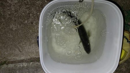 ナイトルアーフィッシング