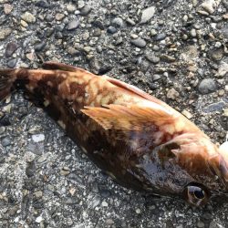 ゴミではなく…