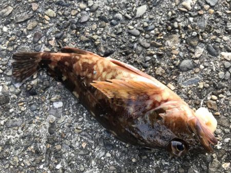 ゴミではなく…