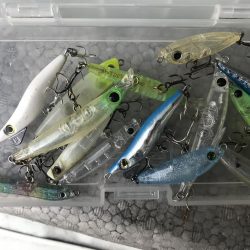 なぜ釣れない?…