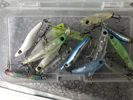 なぜ釣れない?…