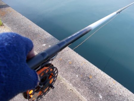 落とし込みでチヌ３８ｃｍ✖１枚